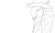 Links